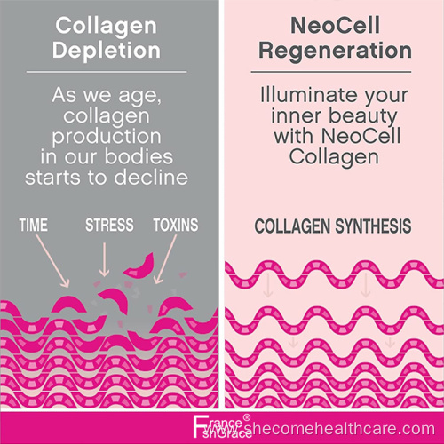 collagen peptides Promotes Hair Bone multi collagen powder